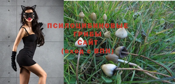 наркотики Алзамай