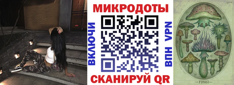Псилоцибиновые грибы Psilocybe Бронницы